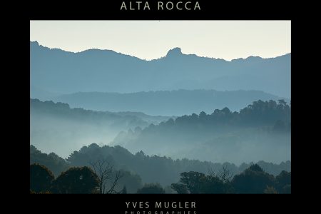 Alta Rocca