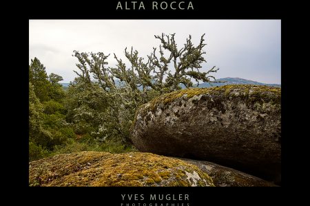 Alta Rocca