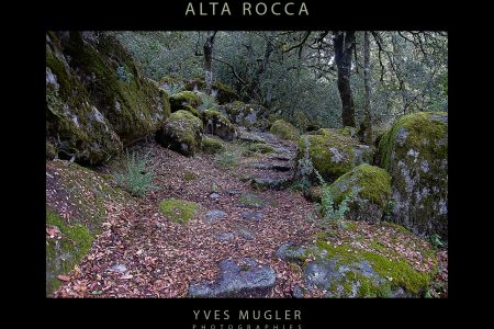 Alta Rocca