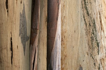 textures