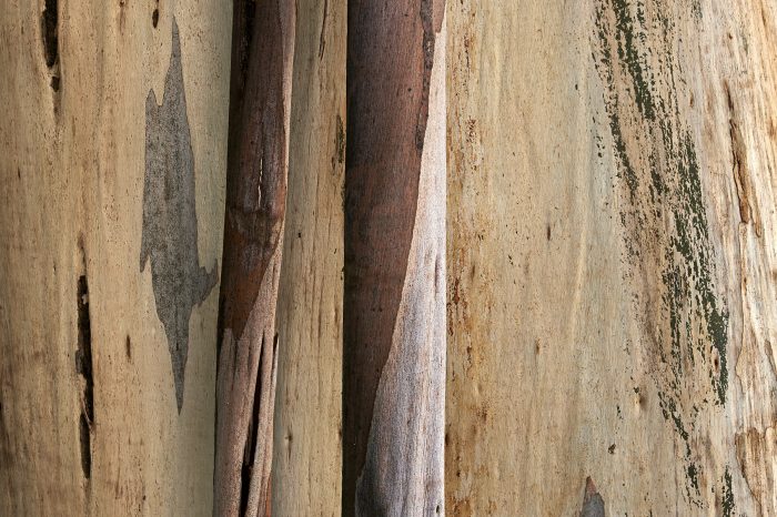 textures