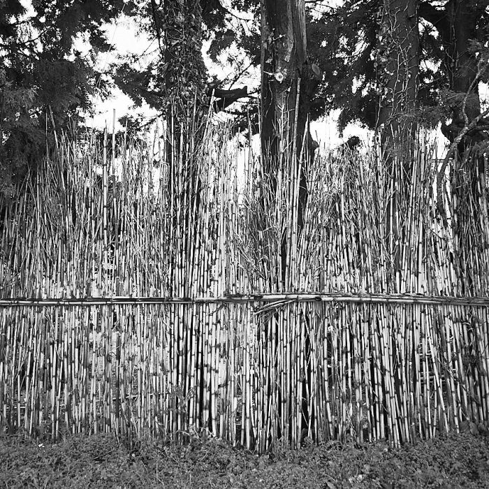 Rideau de cannes de Provence