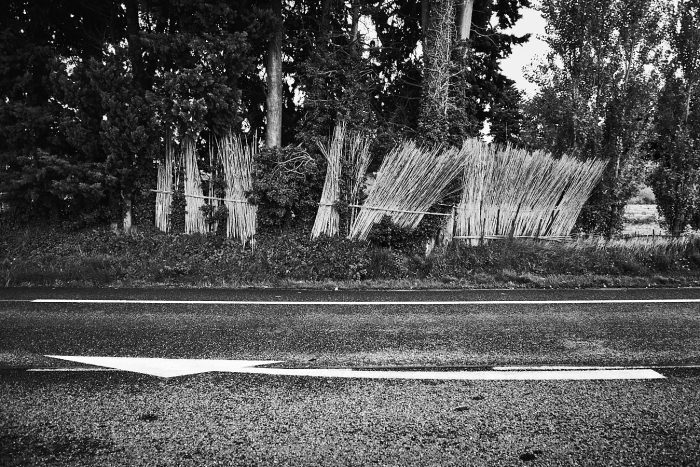 Cannes de Provence le long de la route