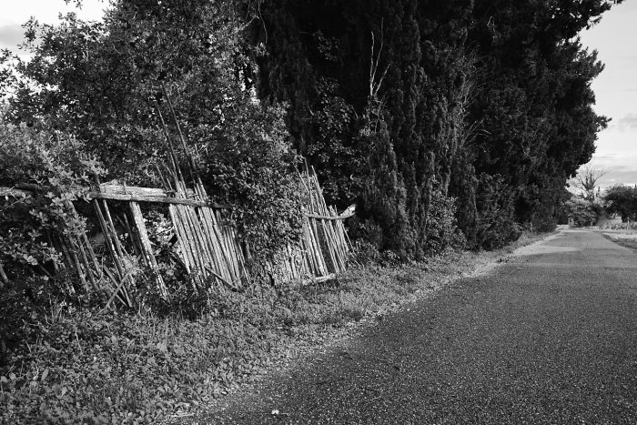 Clôture en cannes de Provence