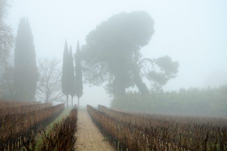 Silhouettes dans le brouillard