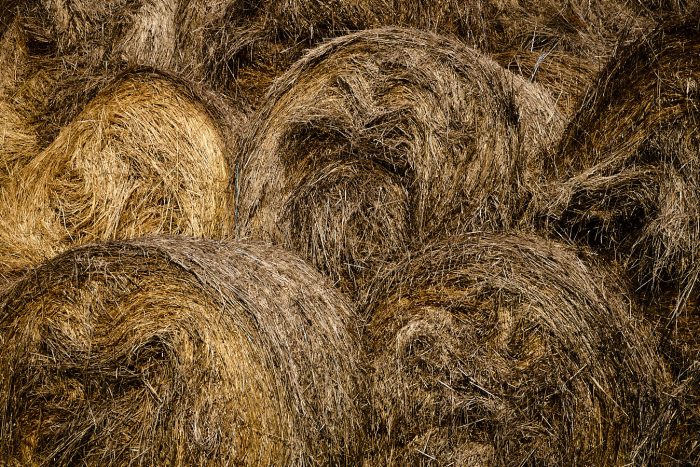 portfolio de photographies de textures, meules de pailles