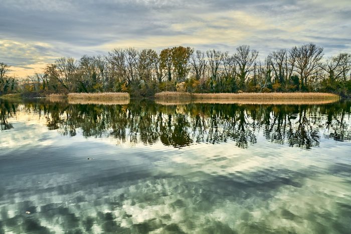 portfolio Nature photographies de Yves Mugler