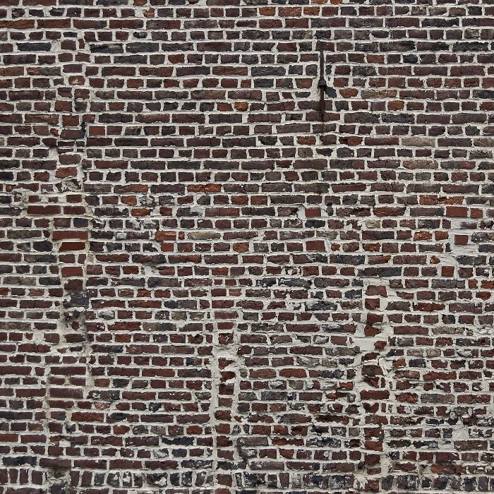 Le cheval dans le mur