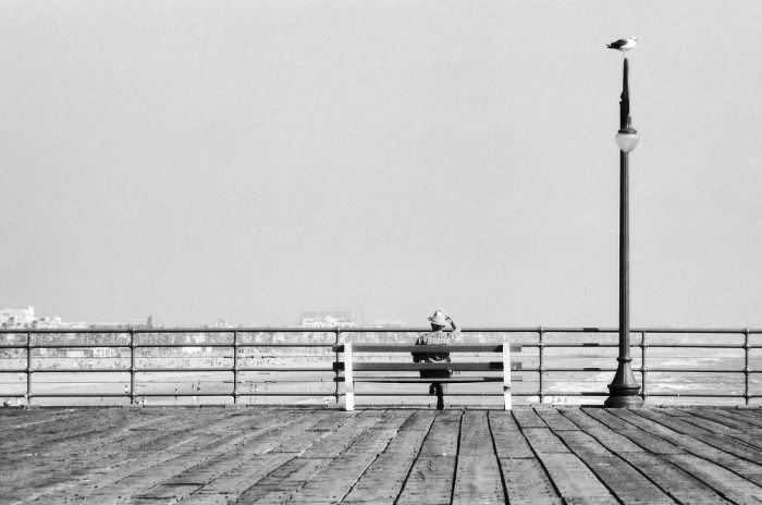 Sur Santa Monica Pier, un homme seul assis sur un banc sous le regard d'une mouette