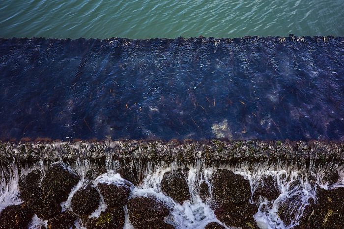 Texture de l'eau qui ruisselle sur des pierres moussues