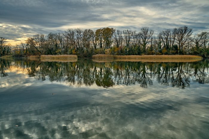 portfolio nature Yves Mugler