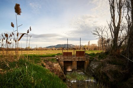 Martelières et roseaux : vestiges d’un patrimoine hydraulique, souvenirs d’une nature provençale