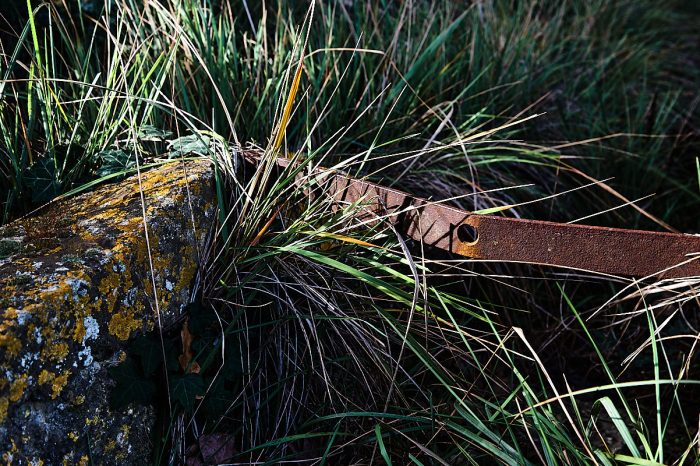 Martelières, adieu à un art de vivre : vestiges d’un patrimoine hydraulique, souvenirs d’une époque révolue