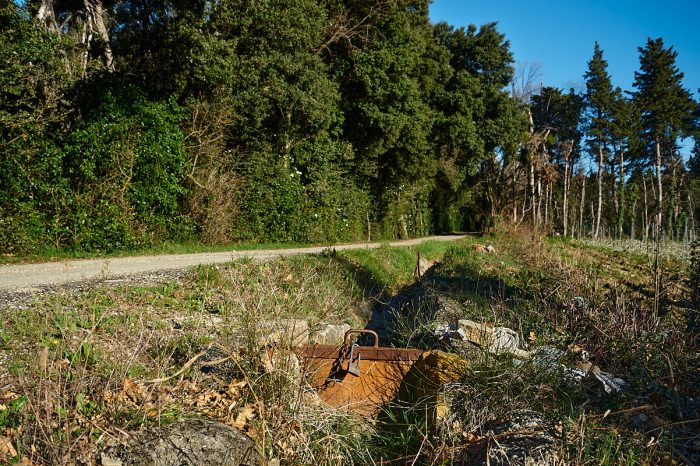 Martelières, vestiges photographiés : patrimoine hydraulique, mémoire d’un monde rural en voie de disparition