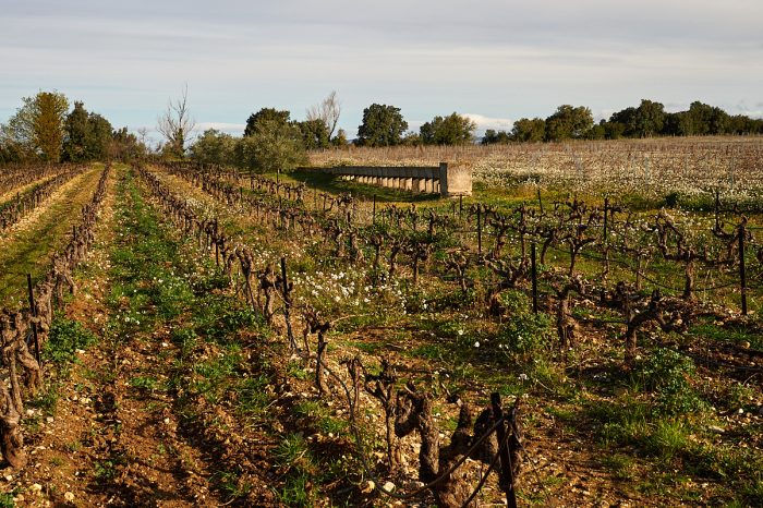 Balade nostalgique : martelières, vestiges d’un patrimoine hydraulique, mémoire d’une Provence authentique