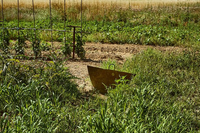Martelières, un patrimoine à transmettre : vestiges d’un art de vivre hydraulique, mémoire de Provence