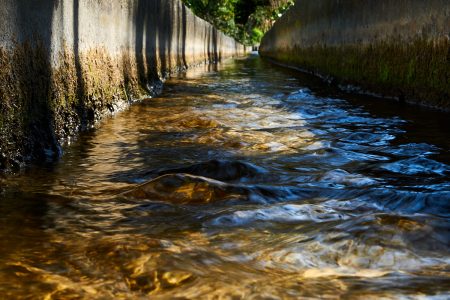 Martelières, un patrimoine qui s’efface : vestige de canal hydraulique