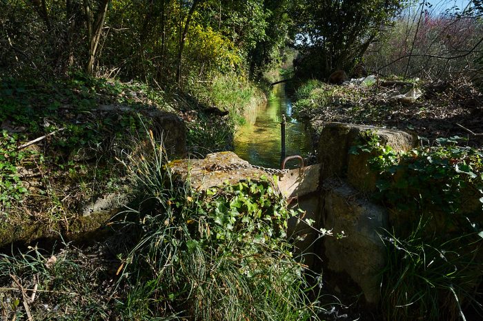 Lumière de printemps : martelières, vestiges d’un patrimoine hydraulique, mélancolie provençale