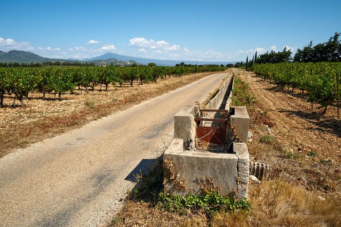 Martelières et champs de vignes : patrimoine hydraulique, vestiges d’une Provence rurale disparue