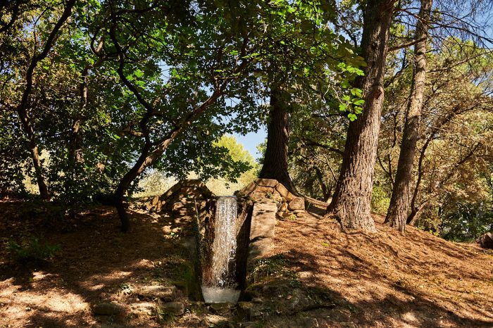Patrimoine en sursis : martelières, vestiges hydrauliques, mémoire à protéger en Provence
