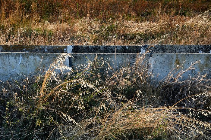 Martelières, un patrimoine qui s’efface : vestiges d’un art de vivre hydraulique, à sauver de l’oubli