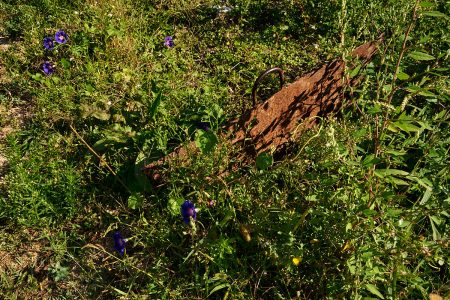 Silence des martelières : vestiges d’un patrimoine hydraulique provençal, écho d’un passé lointain