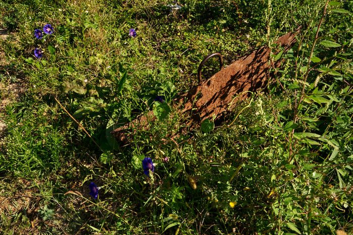 Silence des martelières : vestiges d’un patrimoine hydraulique provençal, écho d’un passé lointain